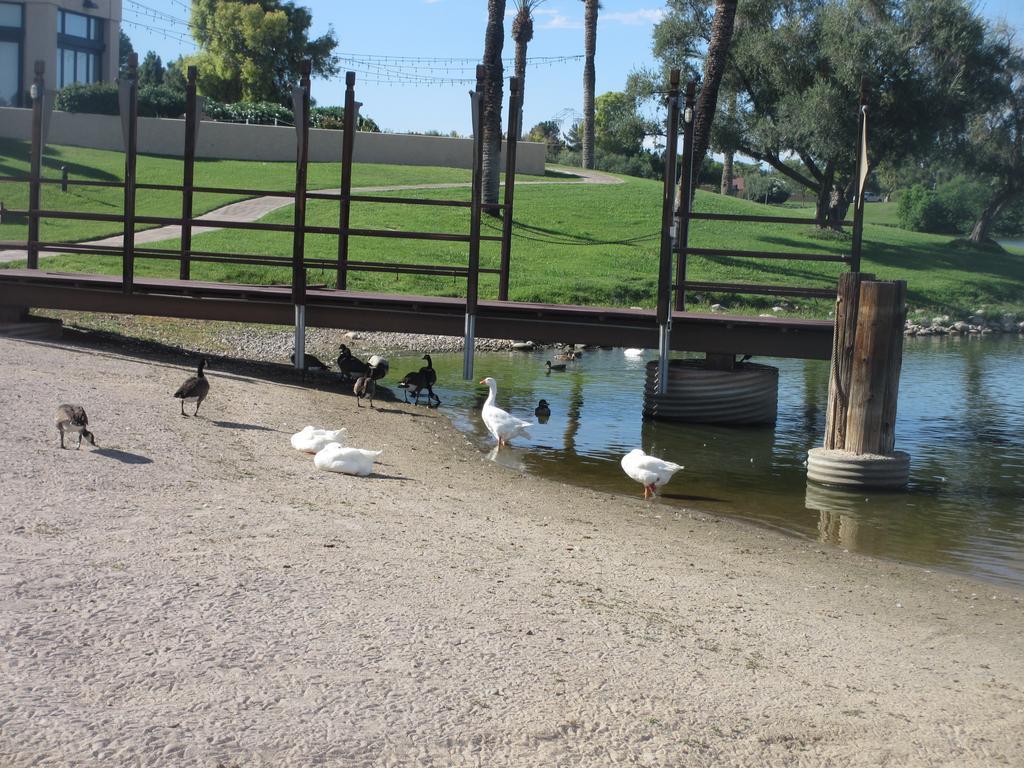 Mccormick Ranch Golf Villa Скоттсдейл Экстерьер фото